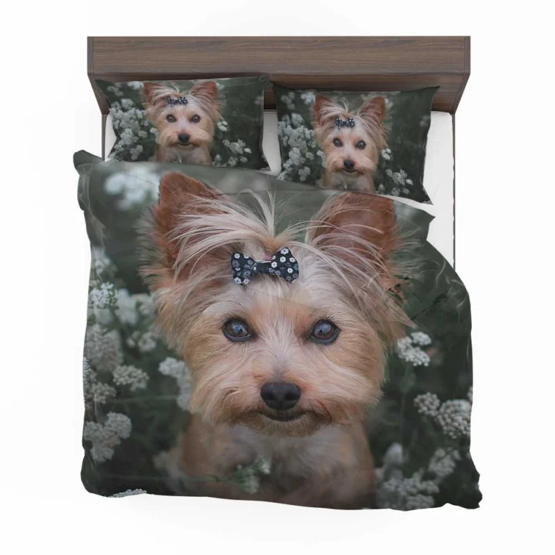 Pint-Sized Perfection: Yorkshire Terrier Quartet Bedding Set 1