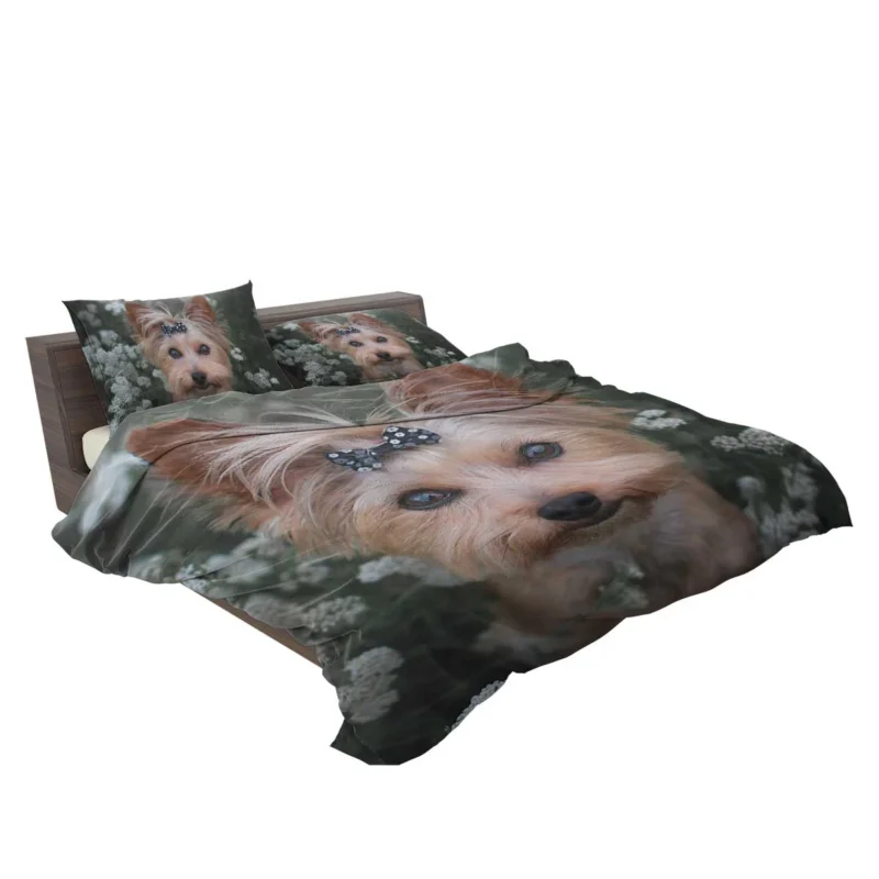 Pint-Sized Perfection: Yorkshire Terrier Quartet Bedding Set 2