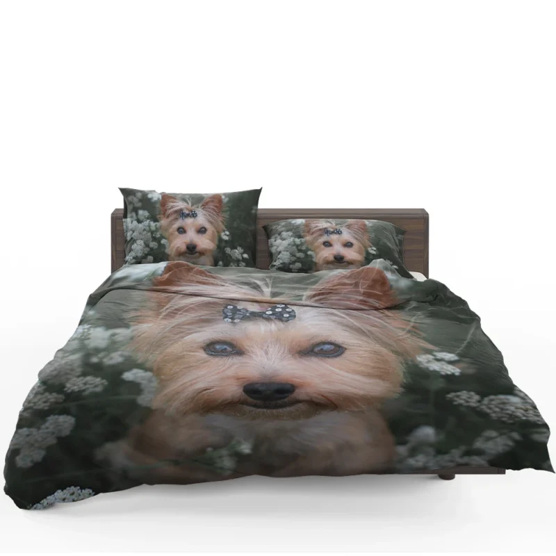 Pint-Sized Perfection: Yorkshire Terrier Quartet Bedding Set