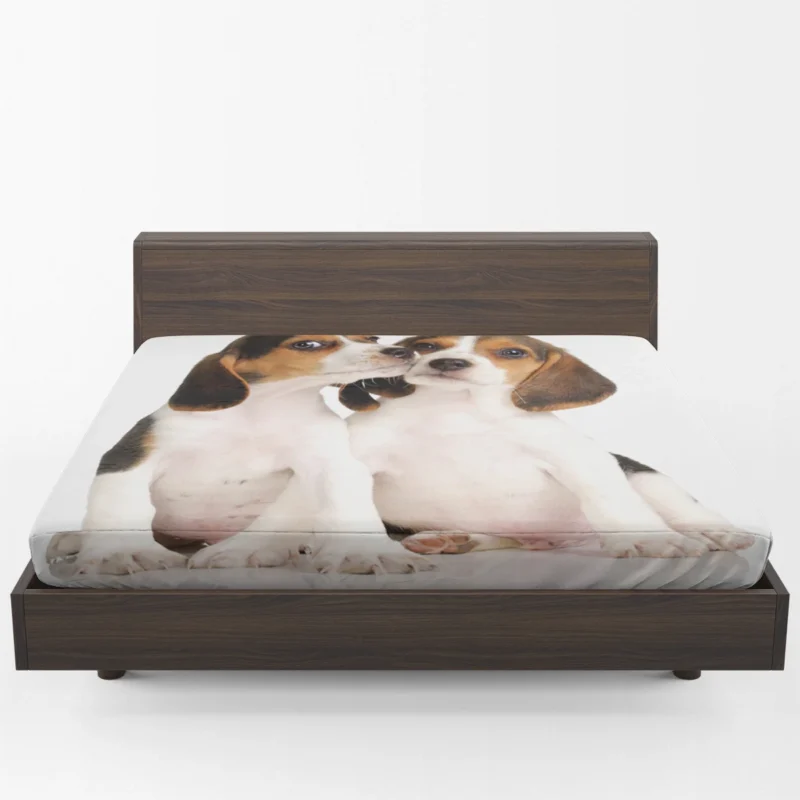 Playful Ba Pups: Beagle Puppies Fitted Sheet 1