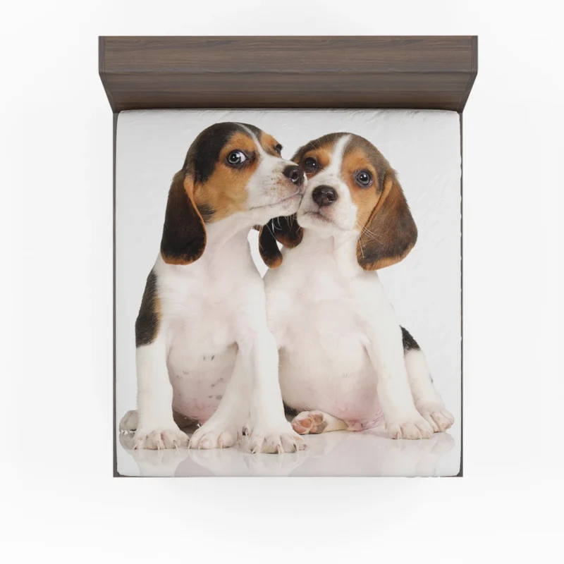 Playful Ba Pups: Beagle Puppies Fitted Sheet