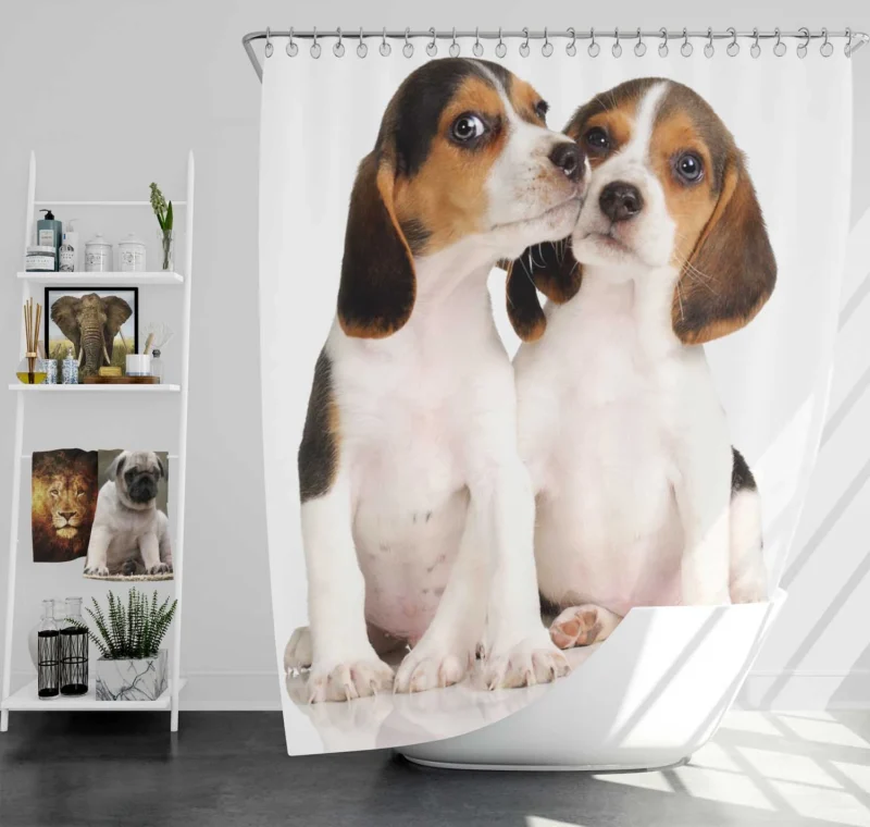 Playful Ba Pups: Beagle Puppies Shower Curtain