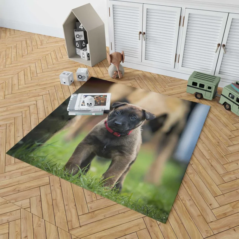 Playful Ba Pups: Belgian Shepherd Puppy Floor Rug 1