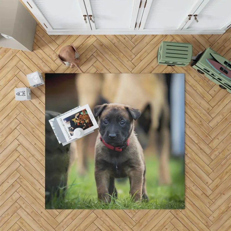 Playful Ba Pups: Belgian Shepherd Puppy Floor Rug