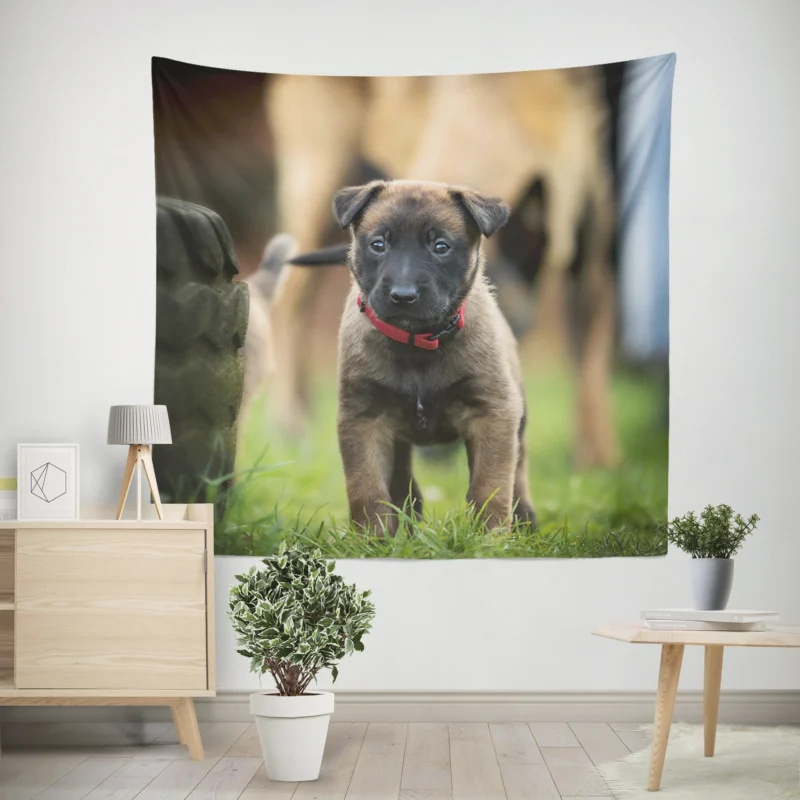 Playful Ba Pups  Belgian Shepherd Puppy Wall Tapestry