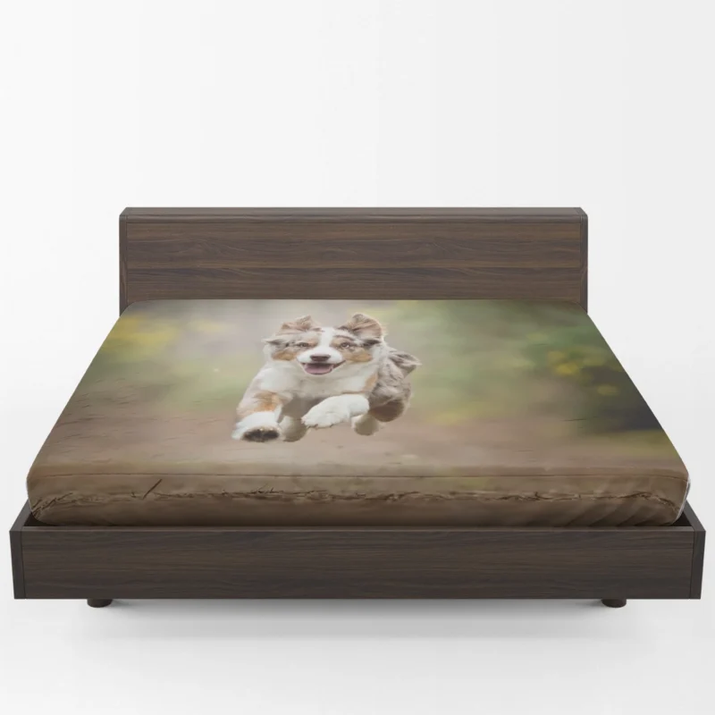 Playful Ba with Depth Of Field: Australian Shepherd Puppy Fitted Sheet 1