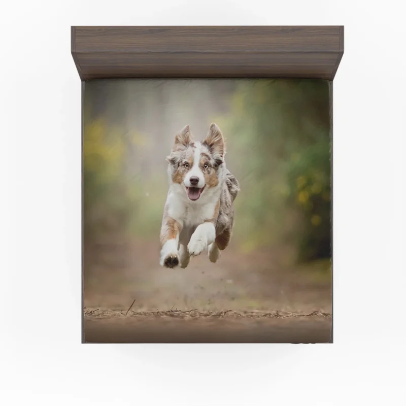 Playful Ba with Depth Of Field: Australian Shepherd Puppy Fitted Sheet