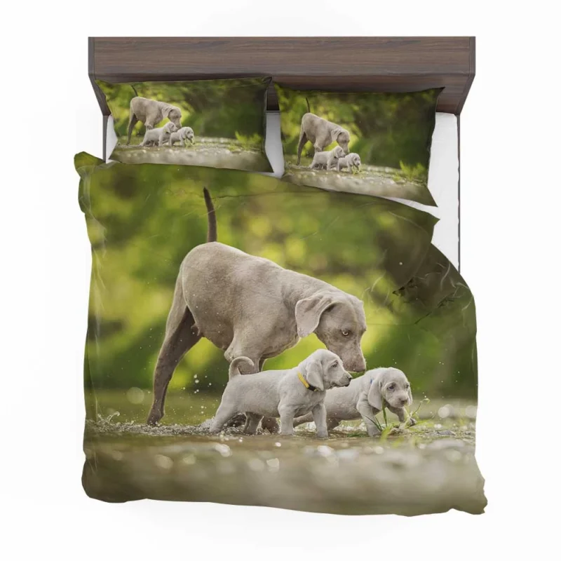 Playful Bauble of Canine Joy: Weimaraner Puppies Bedding Set 1