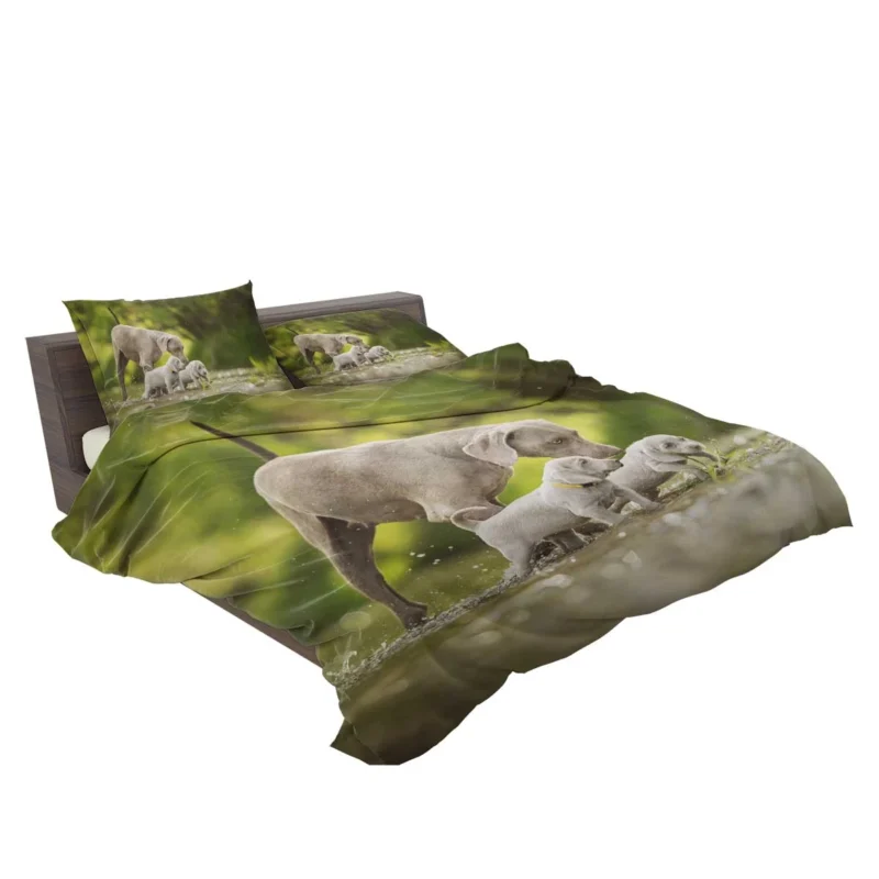 Playful Bauble of Canine Joy: Weimaraner Puppies Bedding Set 2