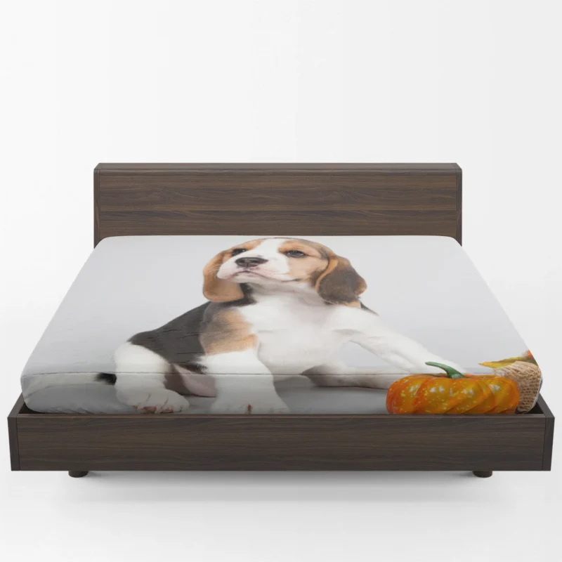 Playful Beagle Puppies: Beagle Fitted Sheet 1