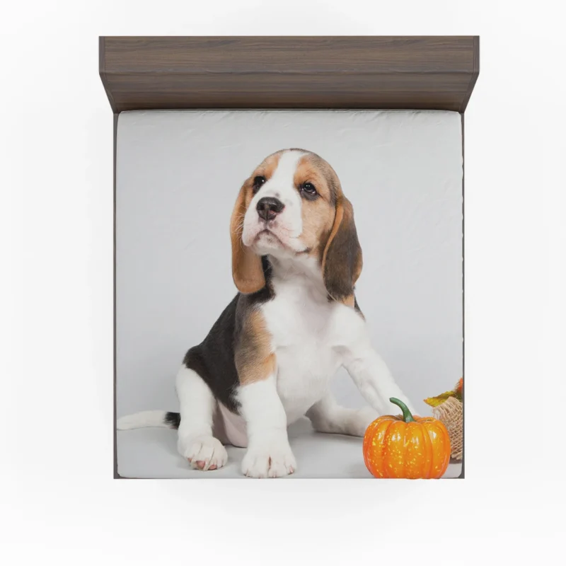 Playful Beagle Puppies: Beagle Fitted Sheet