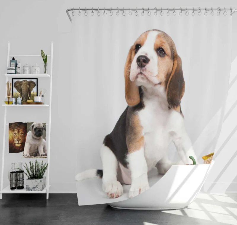 Playful Beagle Puppies: Beagle Shower Curtain