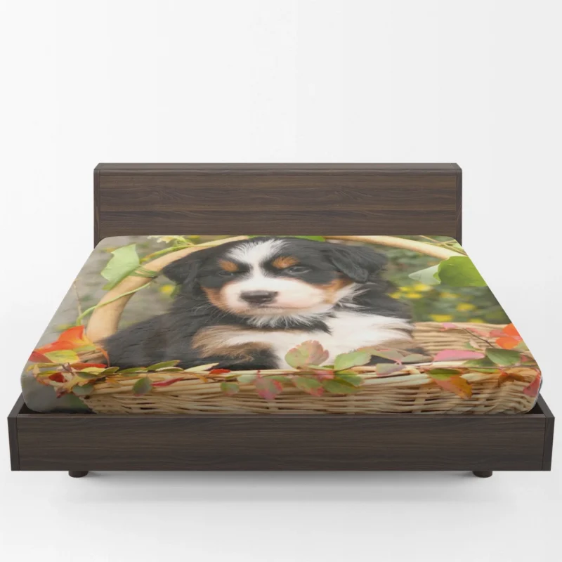 Playful Bernese Charm with Ba Pups: Bernese Mountain Dog Fitted Sheet 1