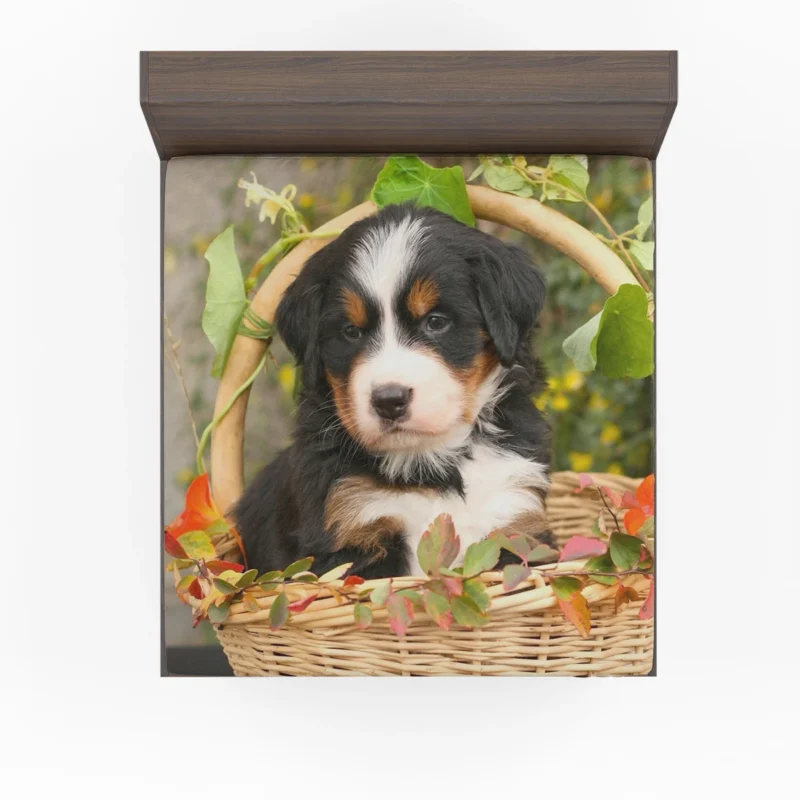 Playful Bernese Charm with Ba Pups: Bernese Mountain Dog Fitted Sheet