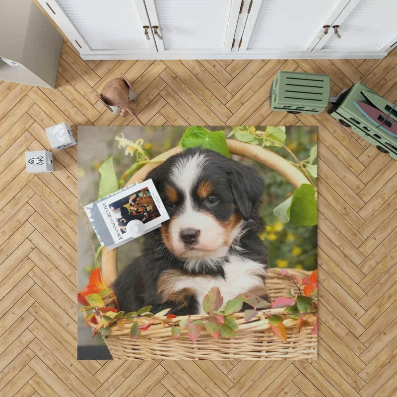 Playful Bernese Charm with Ba Pups: Bernese Mountain Dog Floor Rug