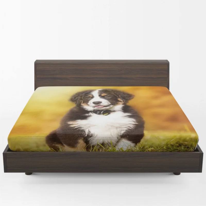 Playful Bernese Mountain Pups: Sennenhund Quartet Fitted Sheet 1