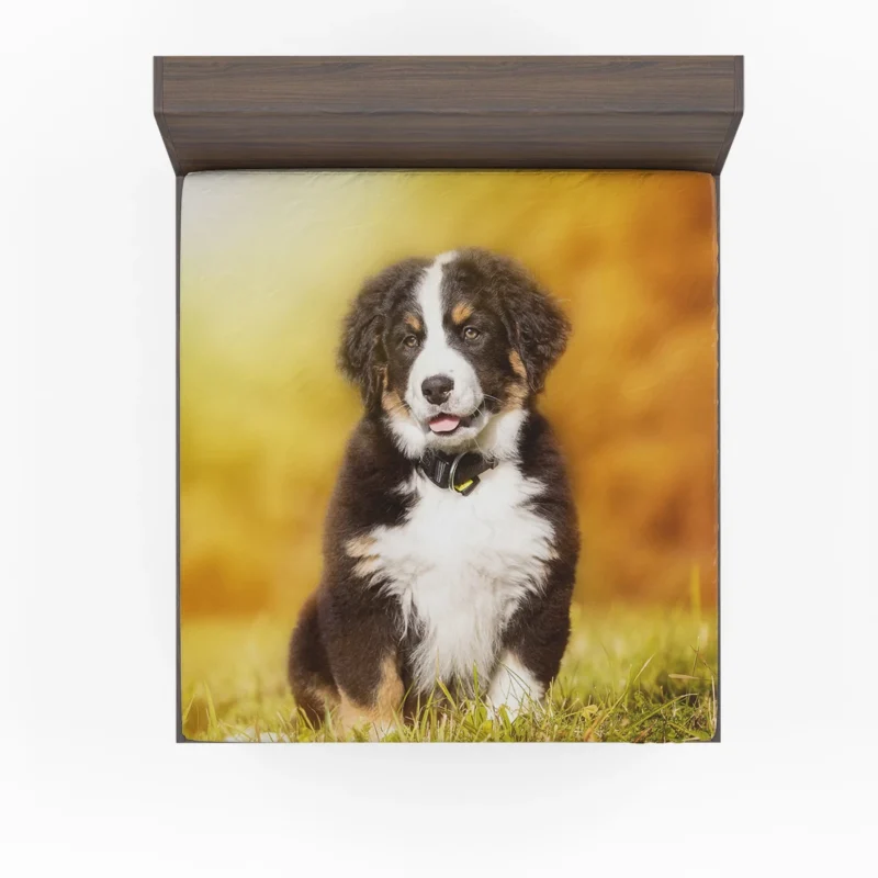 Playful Bernese Mountain Pups: Sennenhund Quartet Fitted Sheet