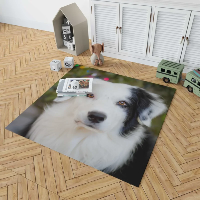 Playful Border Collie Moments: Border Collie Floor Rug 1