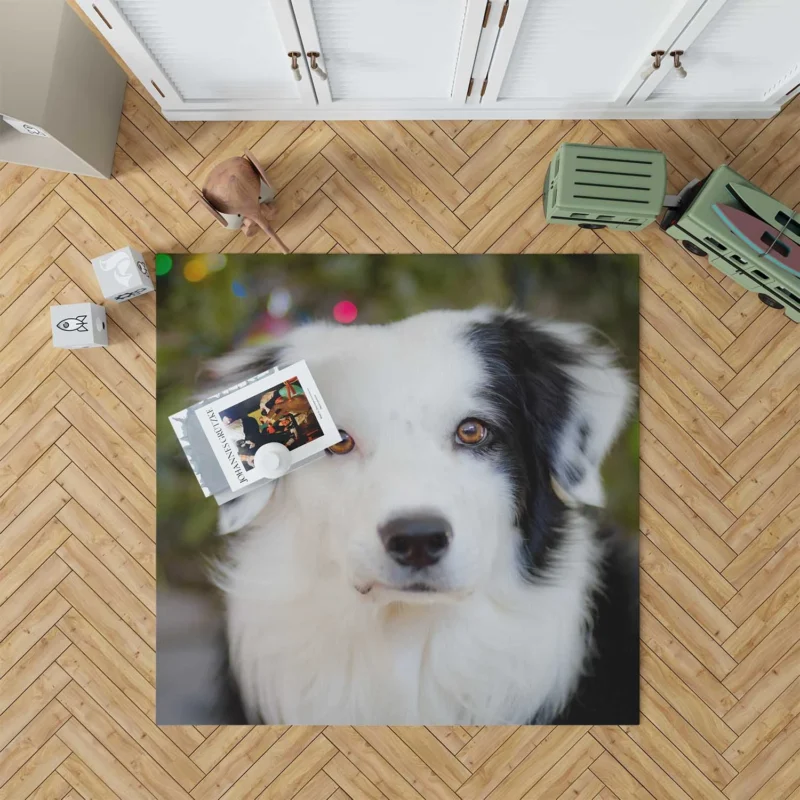 Playful Border Collie Moments: Border Collie Floor Rug