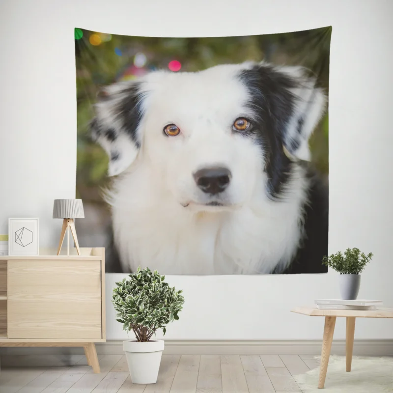 Playful Border Collie Moments  Border Collie Wall Tapestry