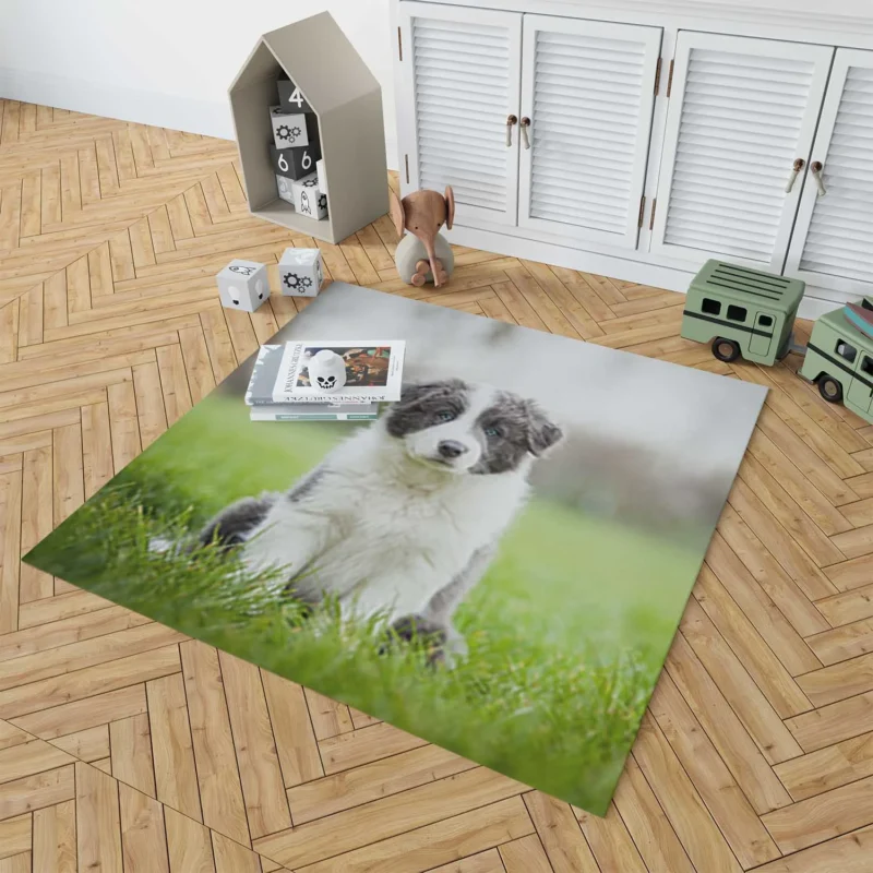 Playful Border Collie Puppies: Border Collie Floor Rug 1