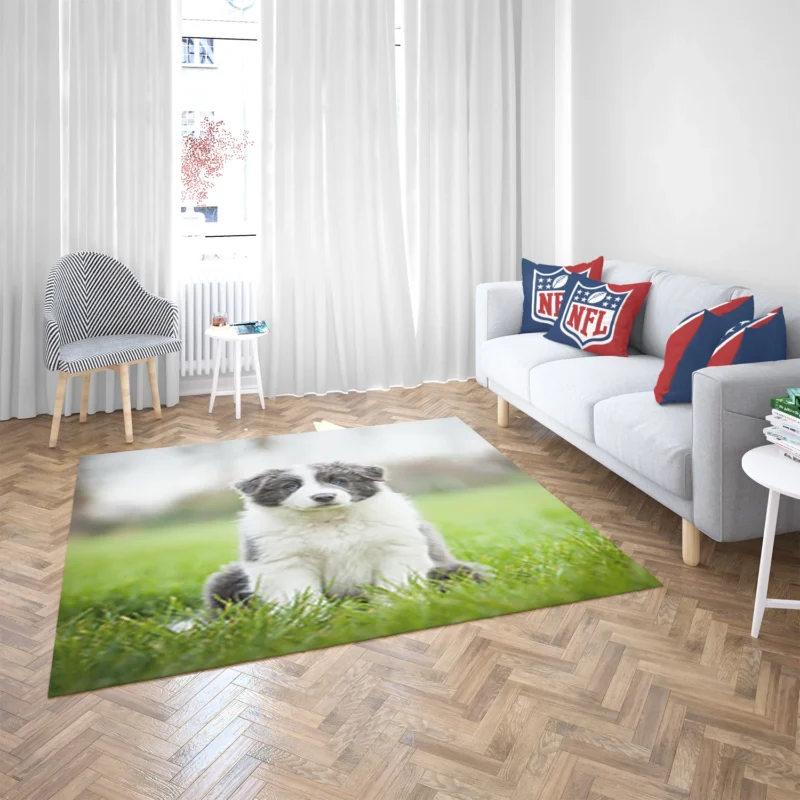 Playful Border Collie Puppies: Border Collie Floor Rug 2