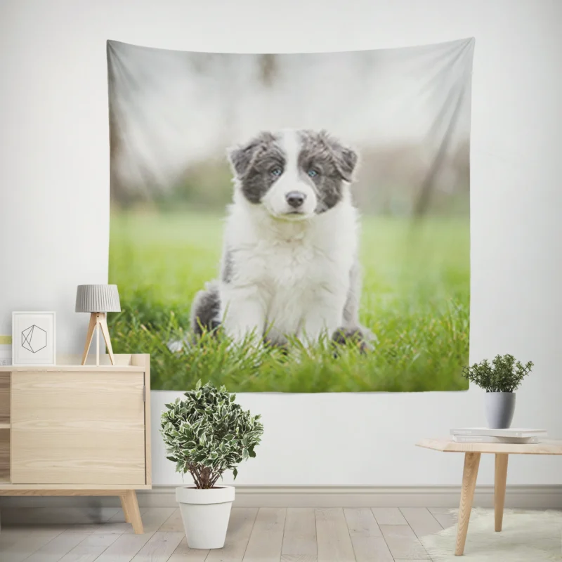 Playful Border Collie Puppies  Border Collie Wall Tapestry