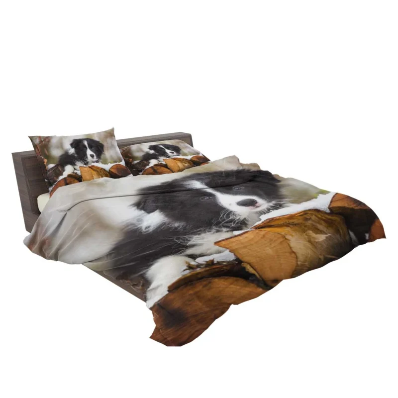Playful Border Collie Pups with Border Collie Ba Bedding Set 2