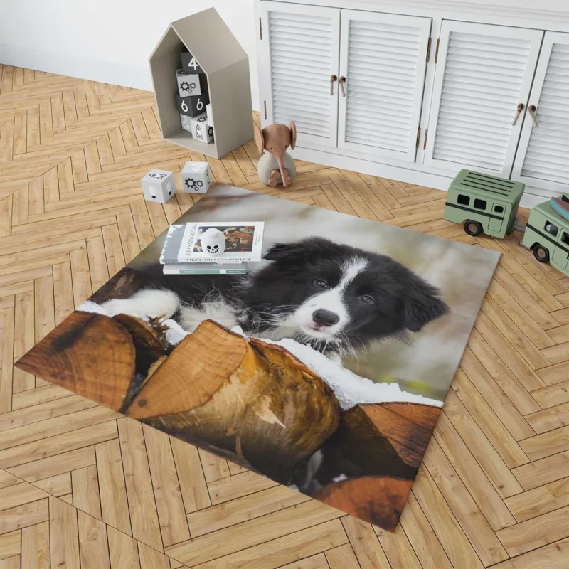 Playful Border Collie Pups with Border Collie Ba Floor Rug 1