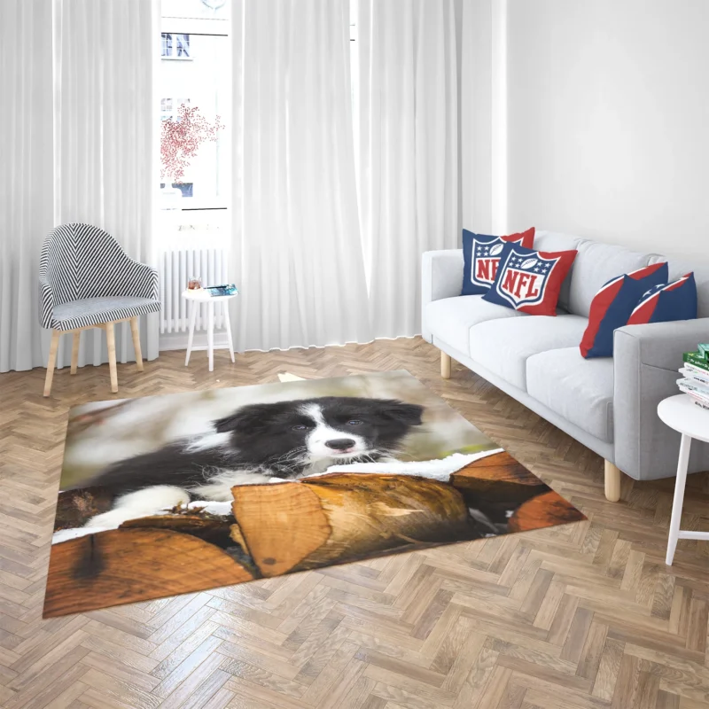 Playful Border Collie Pups with Border Collie Ba Floor Rug 2