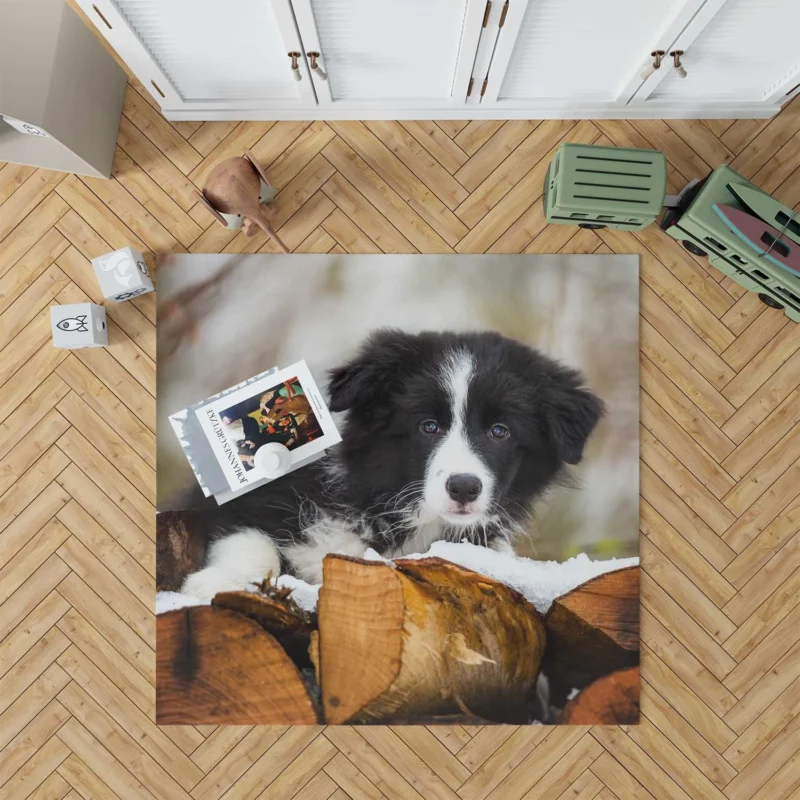 Playful Border Collie Pups with Border Collie Ba Floor Rug