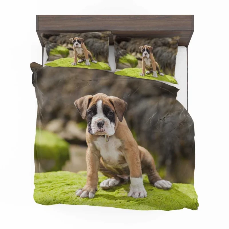 Playful Boxer Puppy with Moss and Muzzle: Boxer Bedding Set 1