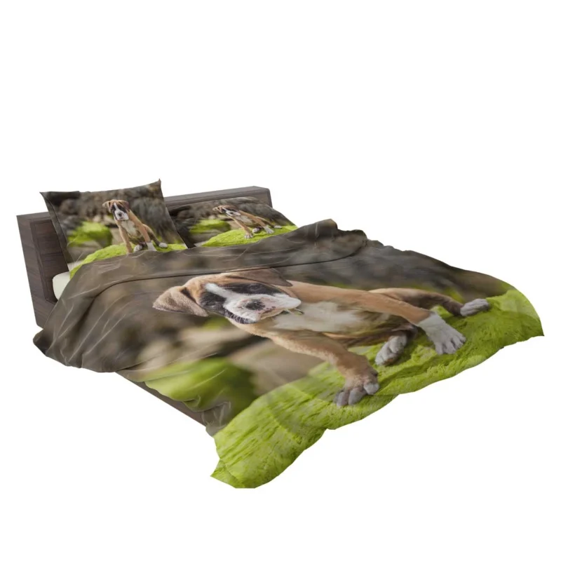 Playful Boxer Puppy with Moss and Muzzle: Boxer Bedding Set 2