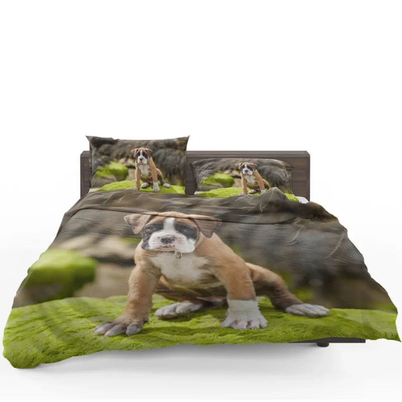 Playful Boxer Puppy with Moss and Muzzle: Boxer Bedding Set