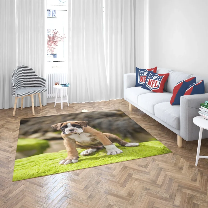 Playful Boxer Puppy with Moss and Muzzle: Boxer Floor Rug 2