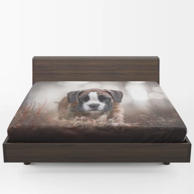 Playful Boxer Pups with Ba: Boxer Fitted Sheet 1