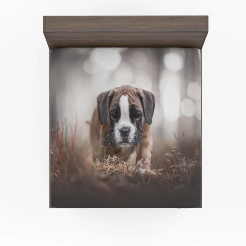 Playful Boxer Pups with Ba: Boxer Fitted Sheet