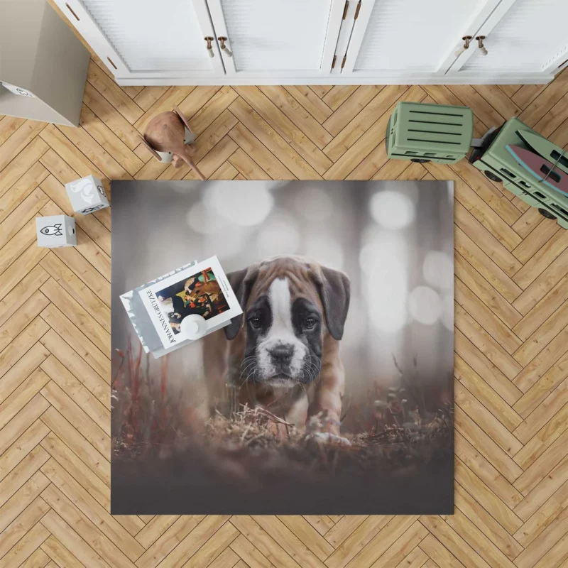 Playful Boxer Pups with Ba: Boxer Floor Rug