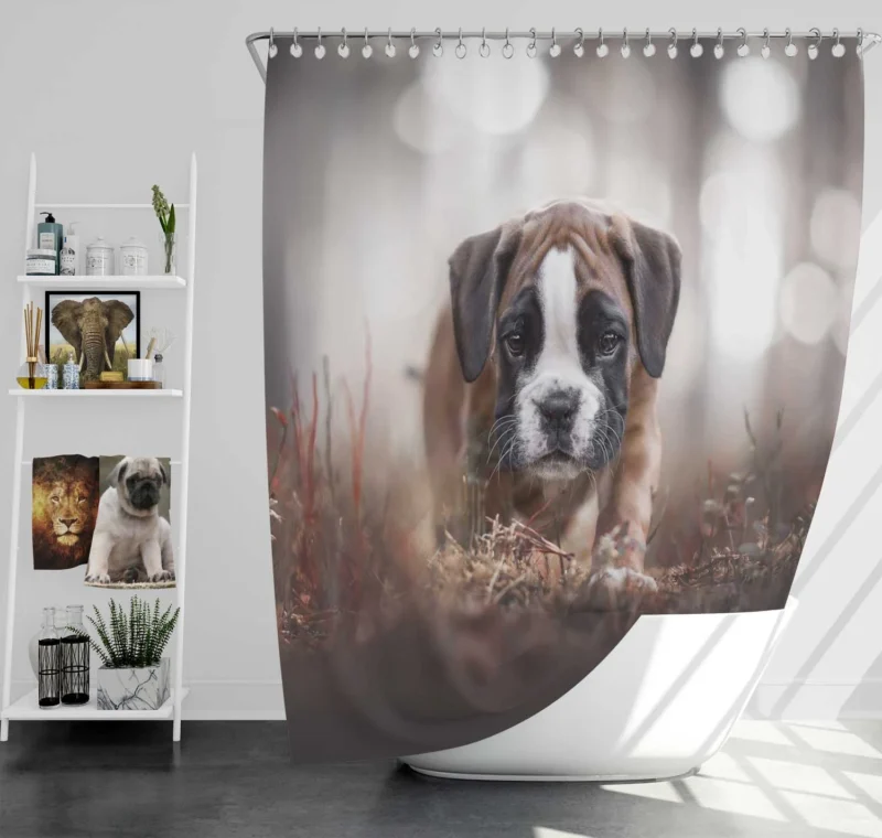 Playful Boxer Pups with Ba: Boxer Shower Curtain