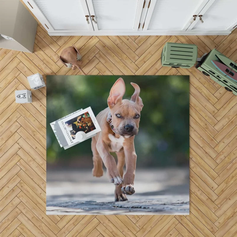 Playful Bull Terrier Pups Running with Ba: Bull Terrier Floor Rug