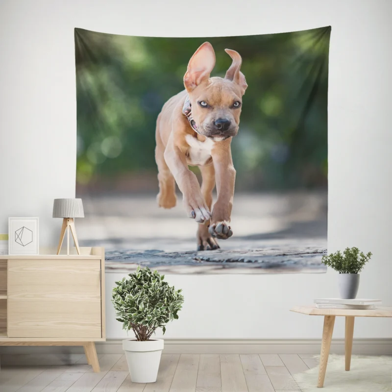 Playful Bull Terrier Pups Running with Ba  Bull Terrier Wall Tapestry