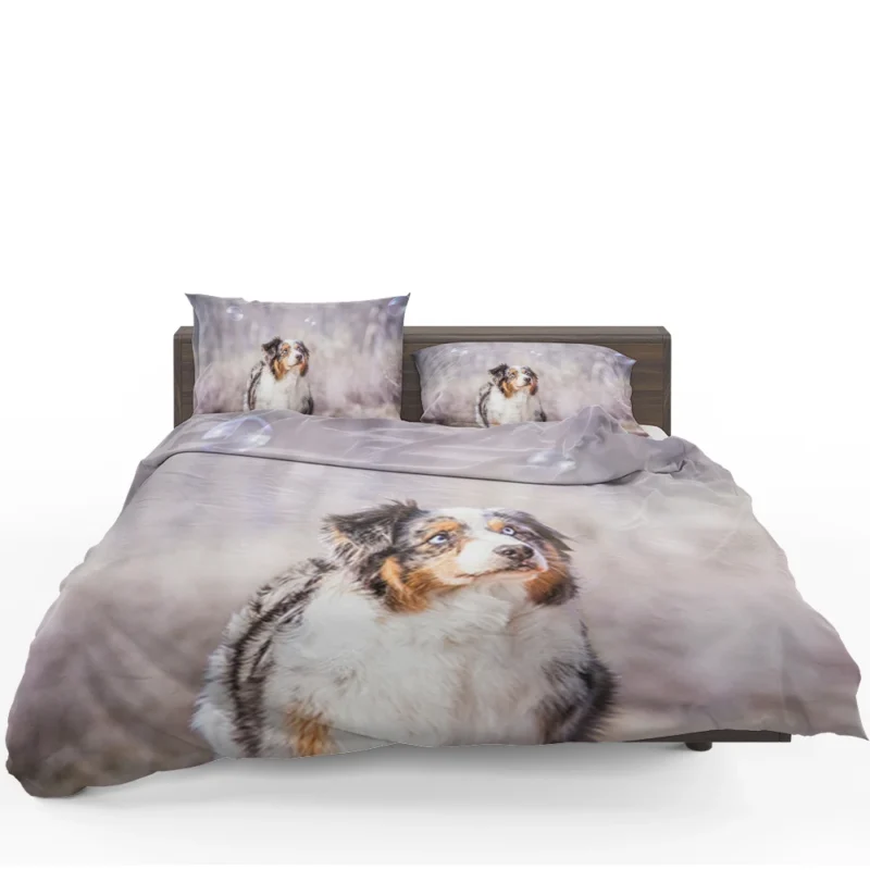 Playful Canine Bubbles: Australian Shepherd Bedding Set