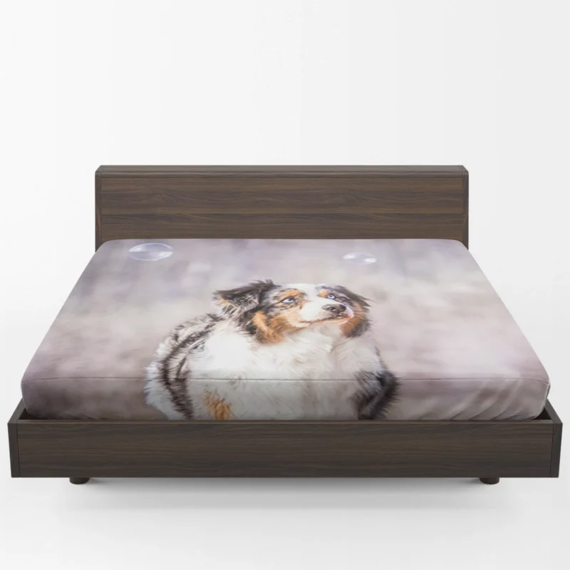 Playful Canine Bubbles: Australian Shepherd Fitted Sheet 1