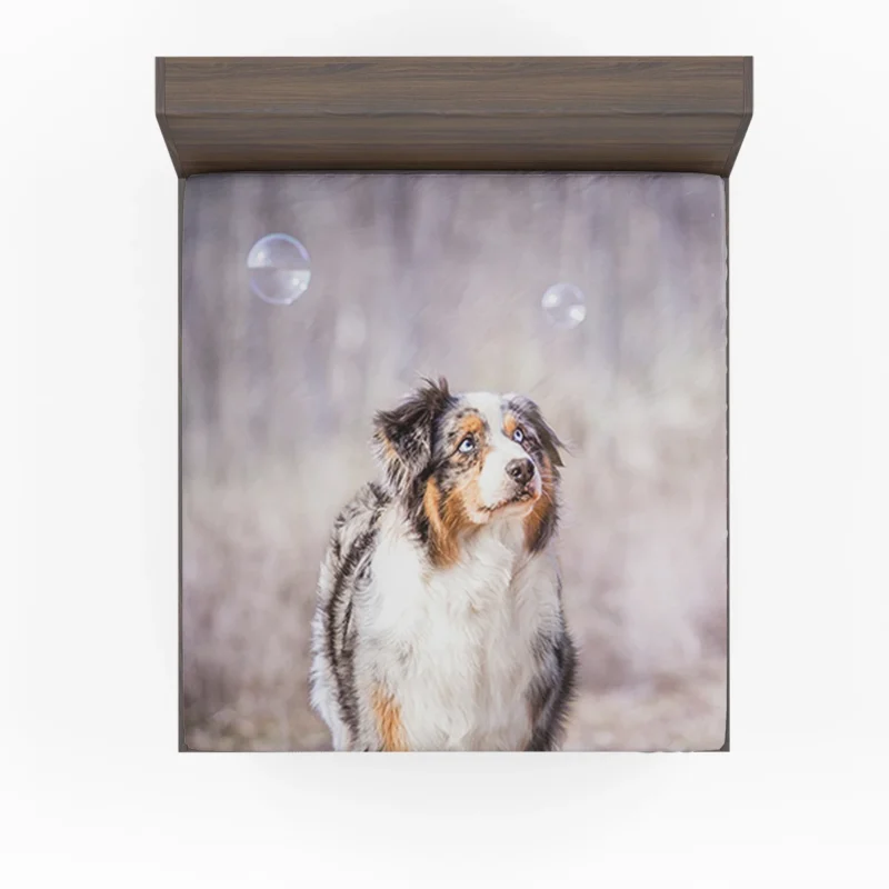 Playful Canine Bubbles: Australian Shepherd Fitted Sheet