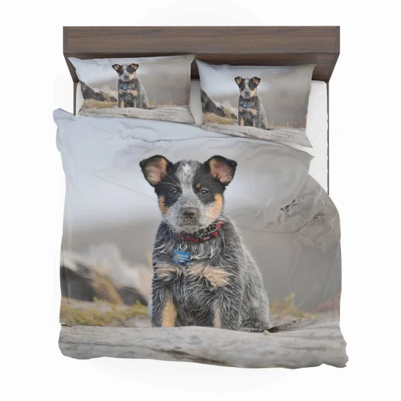 Playful Canine Charm: Australian Cattle Dog Puppy Bedding Set 1