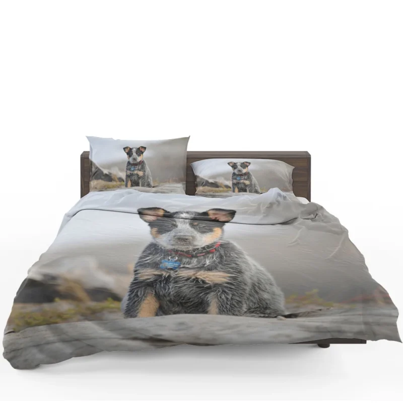 Playful Canine Charm: Australian Cattle Dog Puppy Bedding Set