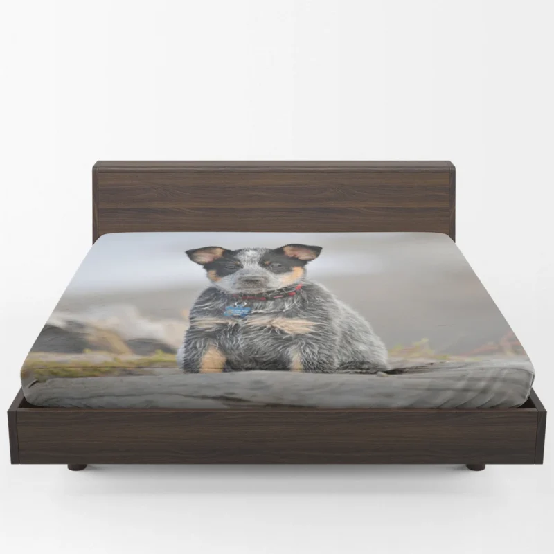 Playful Canine Charm: Australian Cattle Dog Puppy Fitted Sheet 1