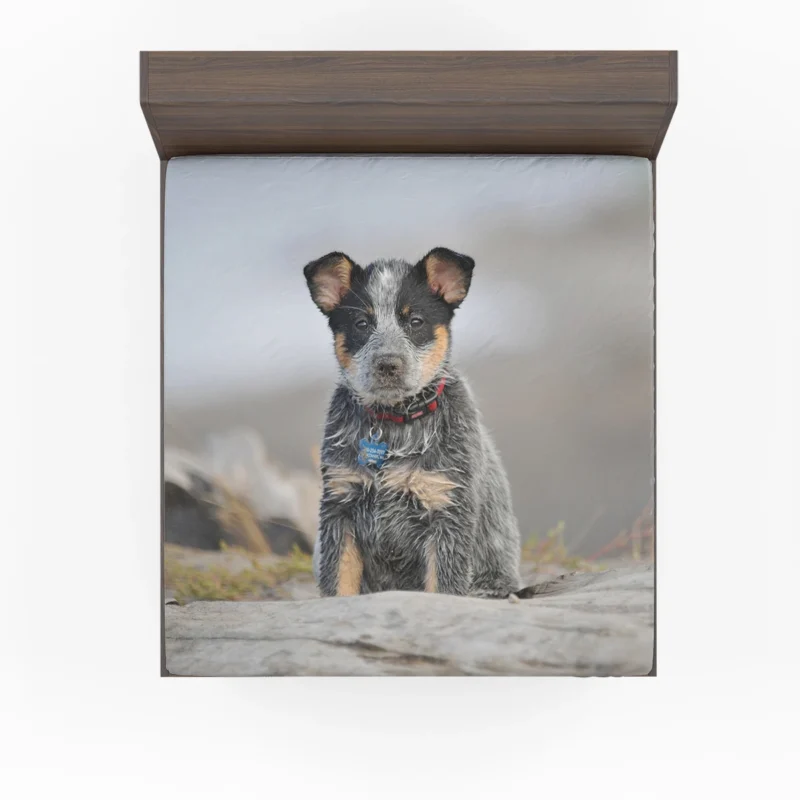 Playful Canine Charm: Australian Cattle Dog Puppy Fitted Sheet