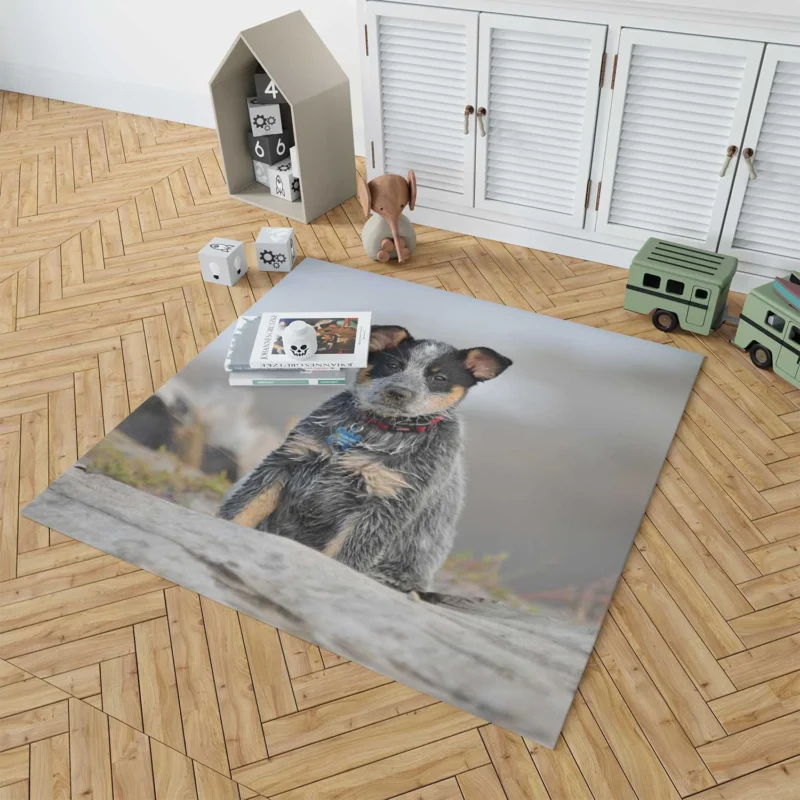 Playful Canine Charm: Australian Cattle Dog Puppy Floor Rug 1