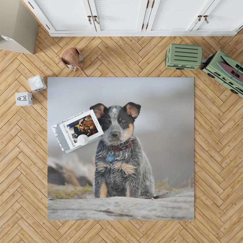 Playful Canine Charm: Australian Cattle Dog Puppy Floor Rug